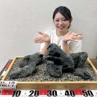 八海石　特別プライスセット！　限定２セット　No.19