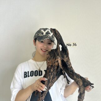 店長セレクト　マングローブ・ウッド　No.36