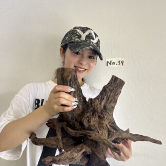 店長セレクト　マングローブ・ウッド　No.39