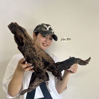 店長セレクト　マングローブ・ウッド　No.40