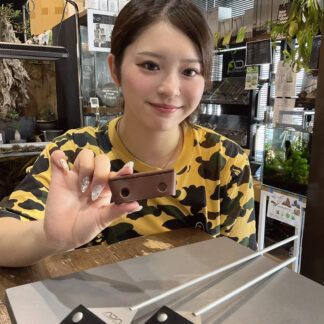 Trashオリジナルプレイザーカバー（大ブラウン）