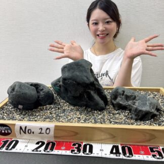 八海石　特別プライスセット！　限定２セット　No.20